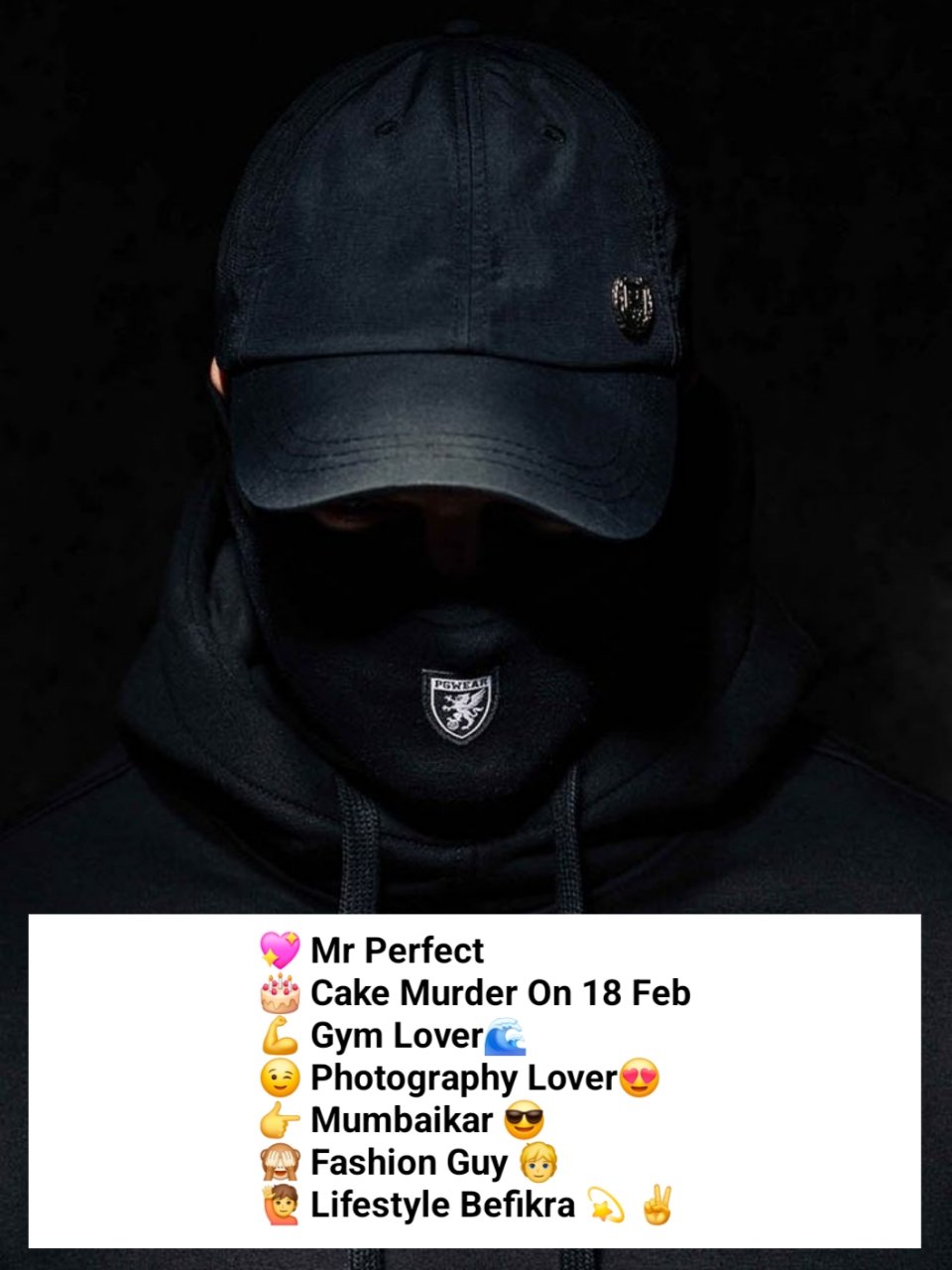 Badmash Gangster Bio For Instagram