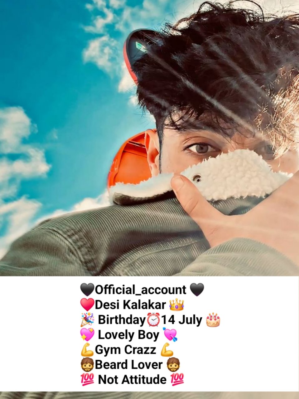 Attitude Bio For Instagram For Boys