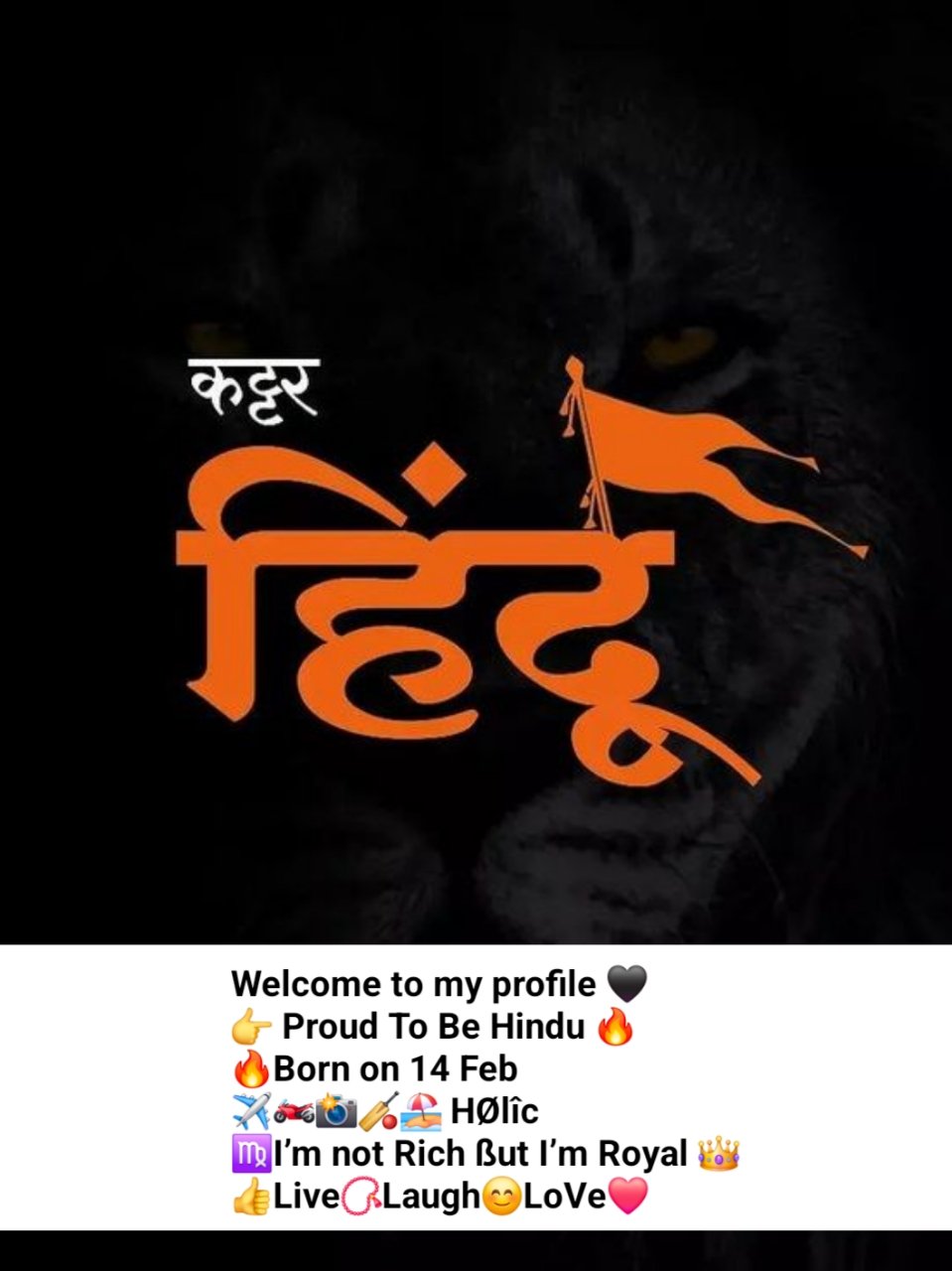 Instagram Bio For Hindu - Sanatani Hindu Instagram Bio