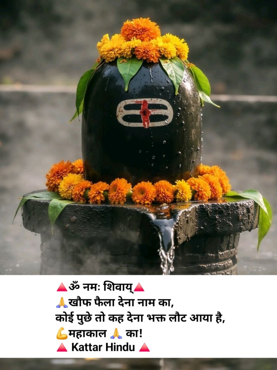 Instagram Bio For Hindu - Sanatani Hindu Instagram Bio