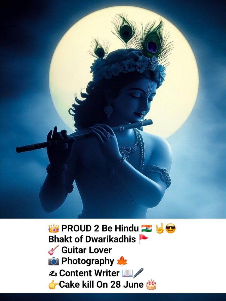 Radha Krishna Bio For Instagram | कृष्ण सदा सहायते Instagram Bio